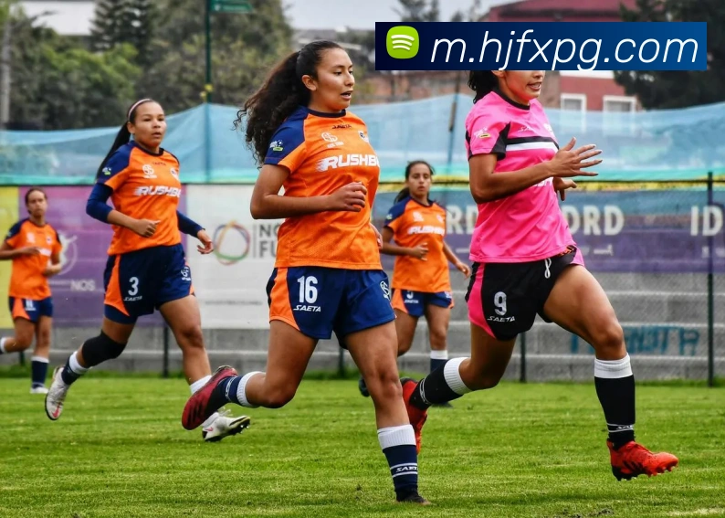 pg官网平台生态图